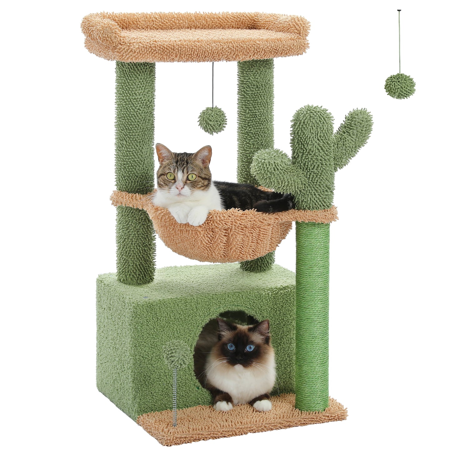 ScratchyCactus
