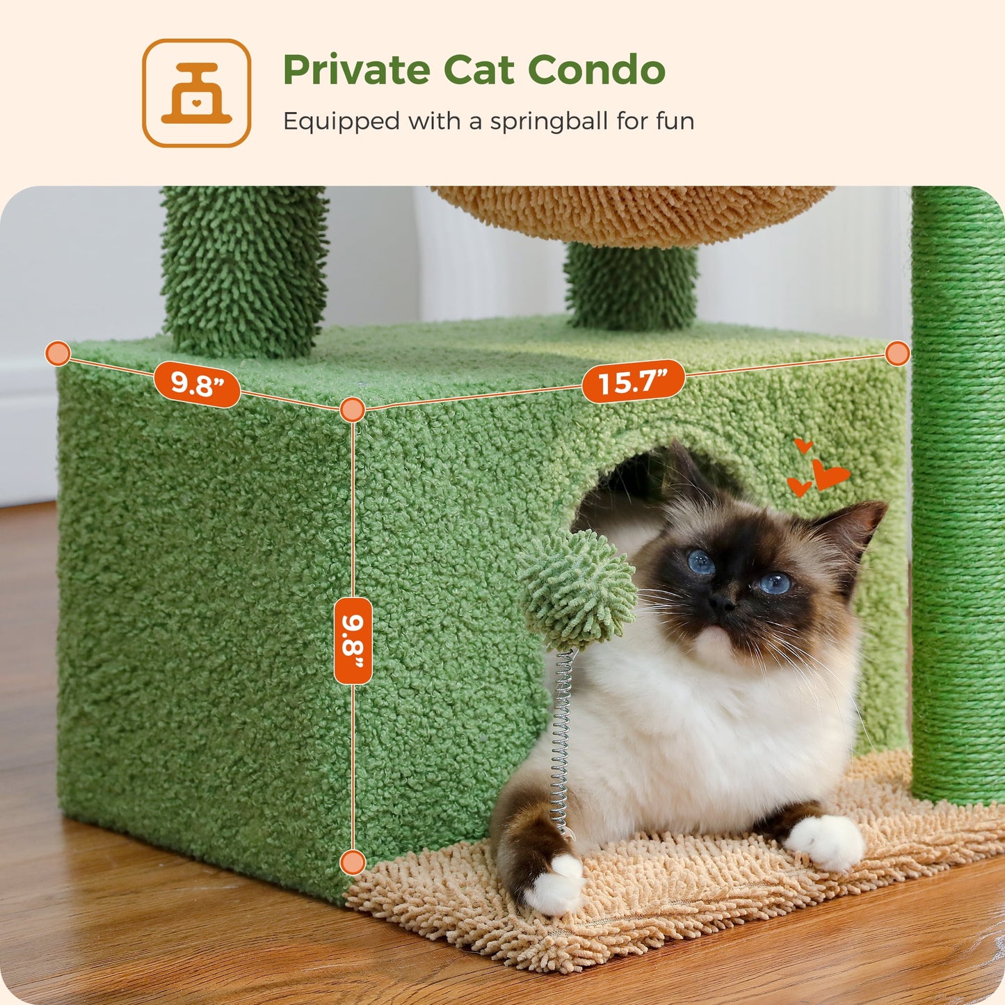 ScratchyCactus