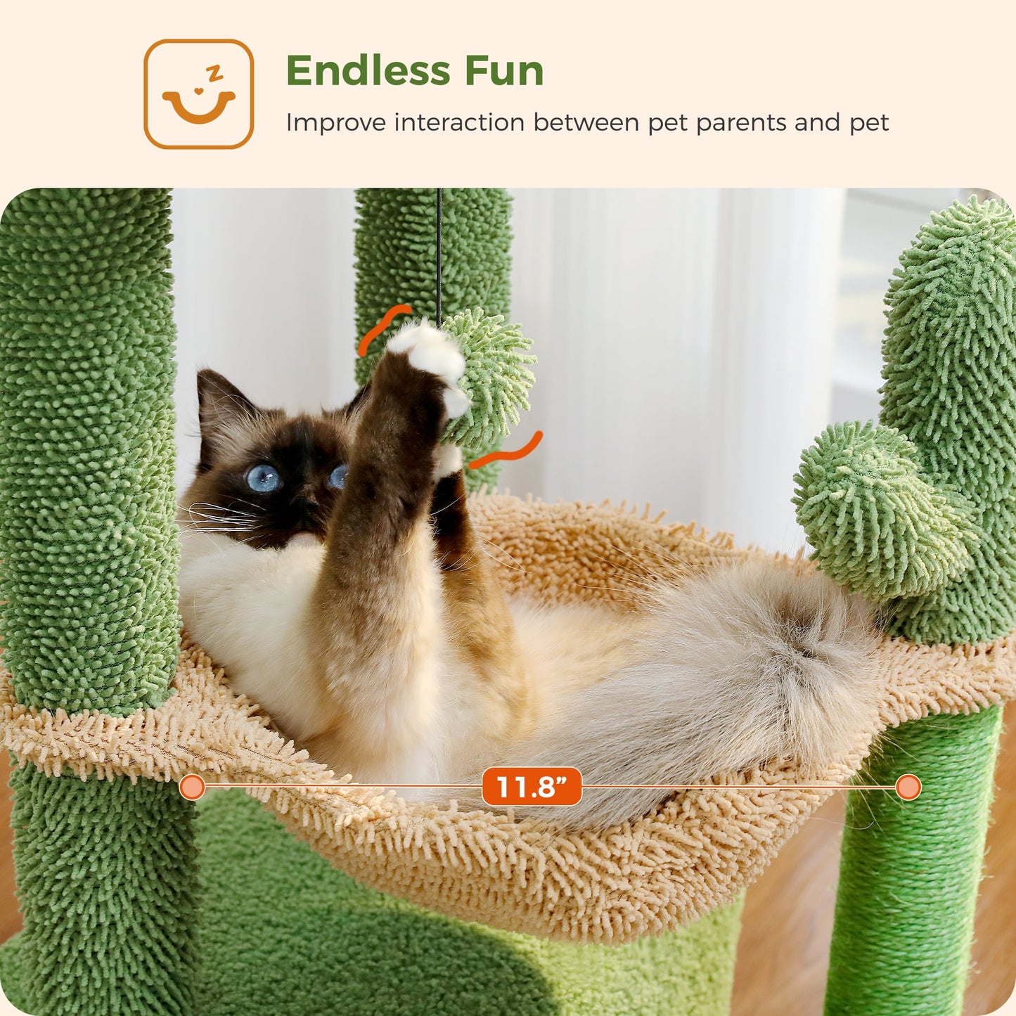 ScratchyCactus