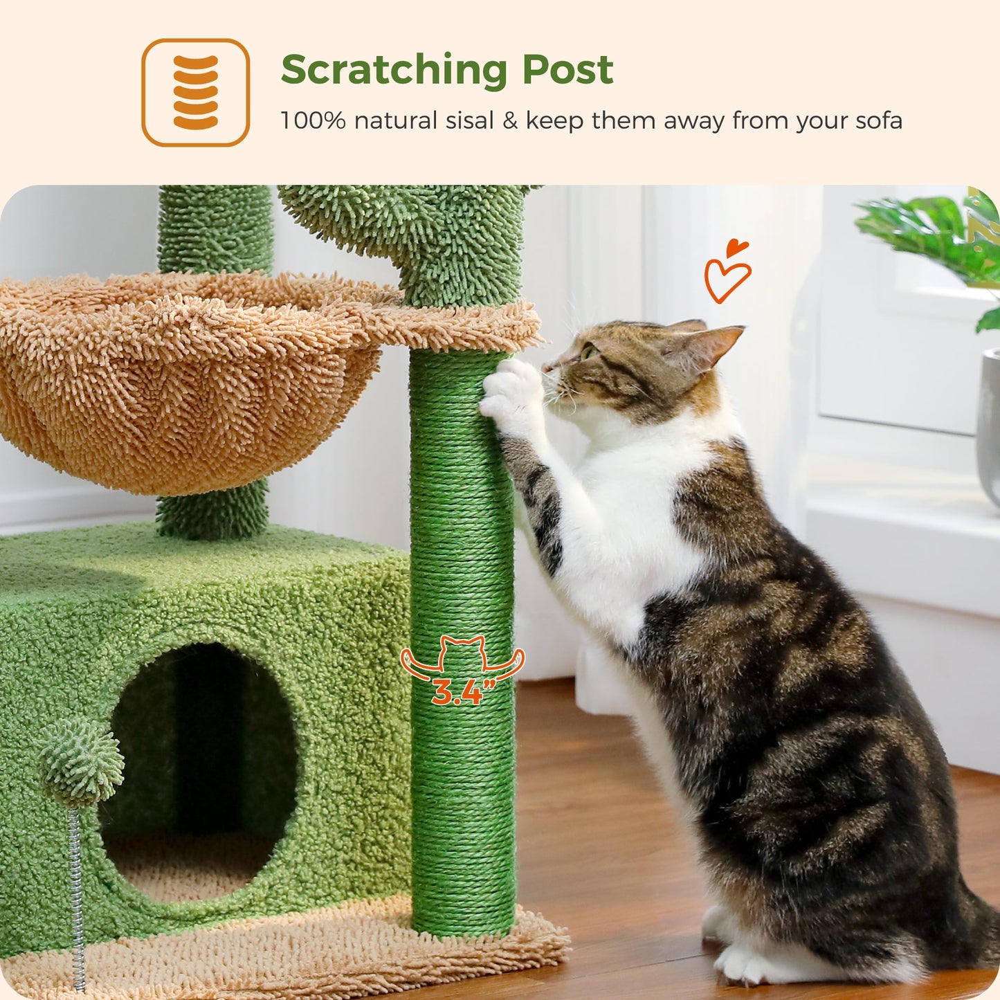 ScratchyCactus