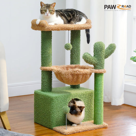 ScratchyCactus
