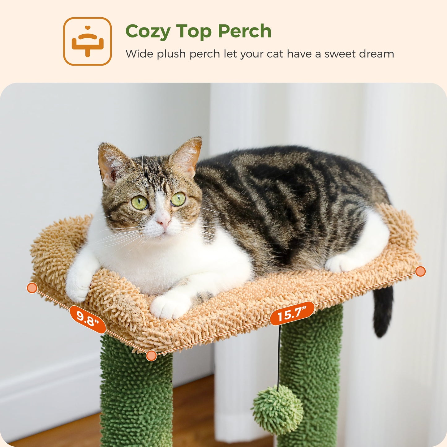 ScratchyCactus