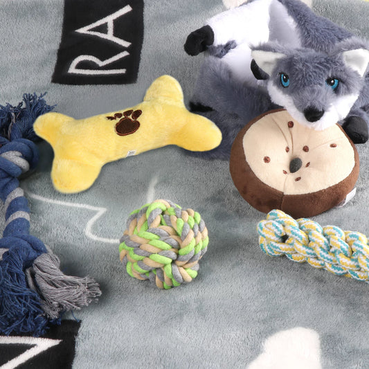 PlayBuddy Box